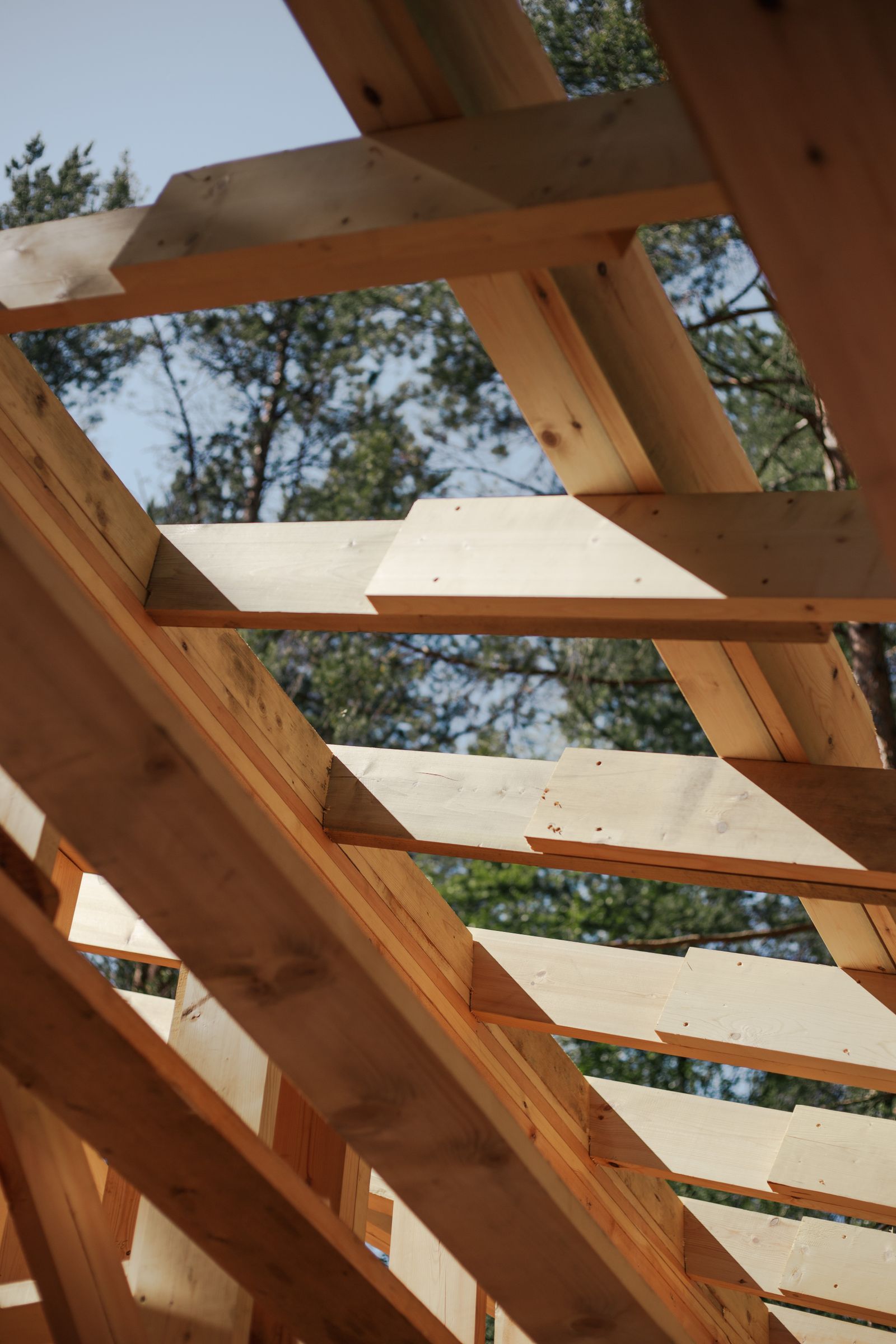 Timber roof framing viewed from below